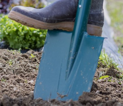 Outillage à main pour le jardin et la fôret