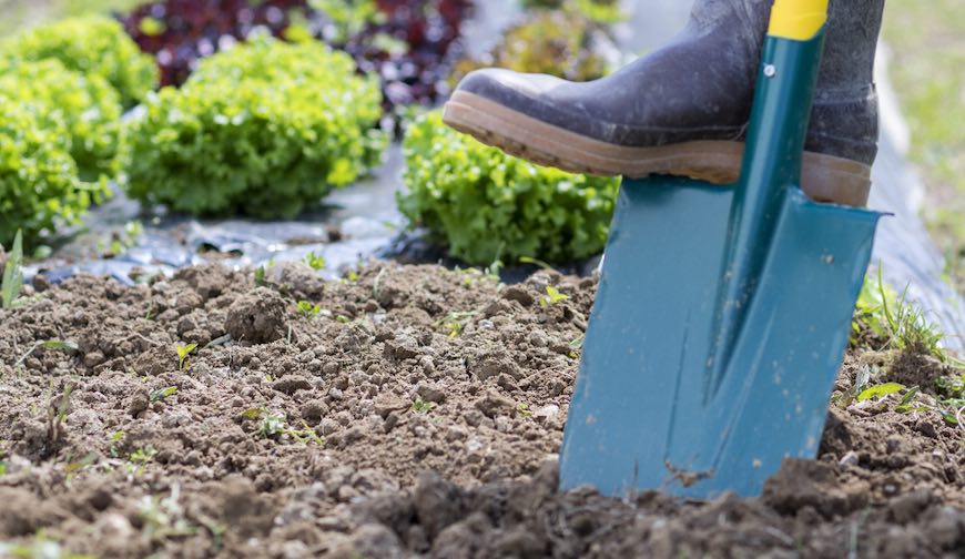 Leborgne, outillage pour le jardin