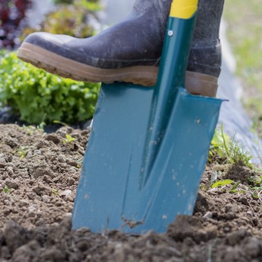 Leborgne, outils pour les cultures et plantations