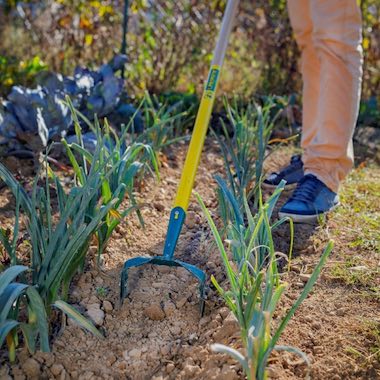 Leborgne outils de jardin et nettoyage